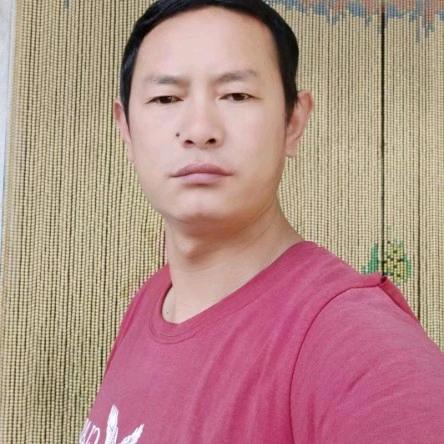 定州，二手车中介，买卖