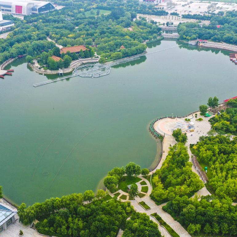 白钼丝编织网，不锈钢丝编织网