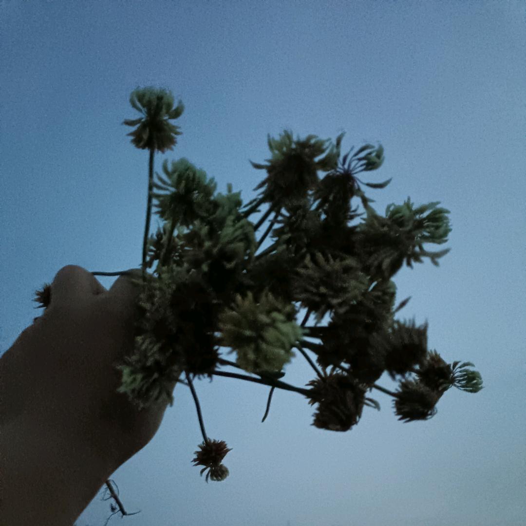 爱笑的傻二丫