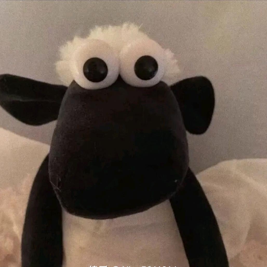 momo🧸