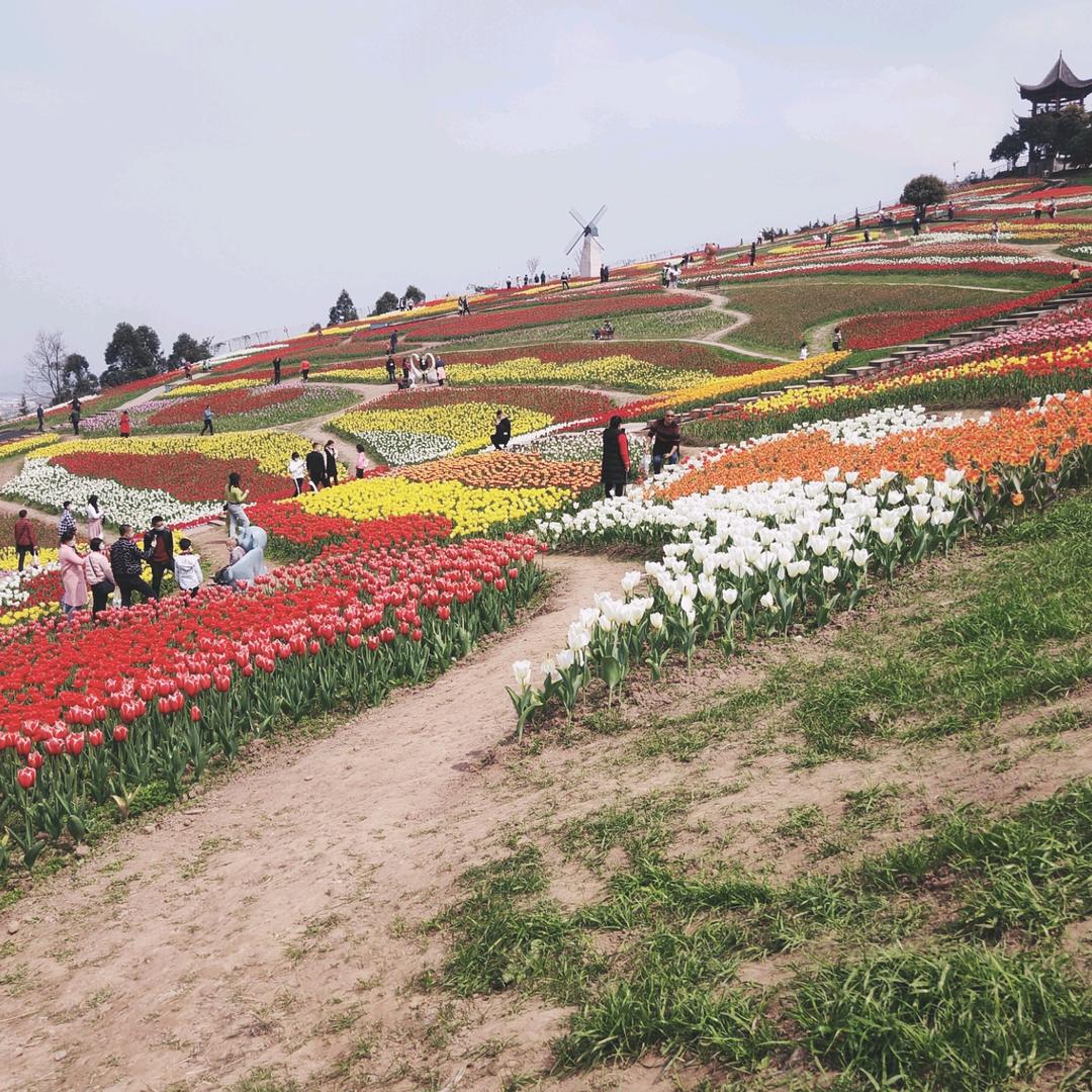 🚬ಇ᭄清风࿆ྃ烈酒໊醉人心࿐