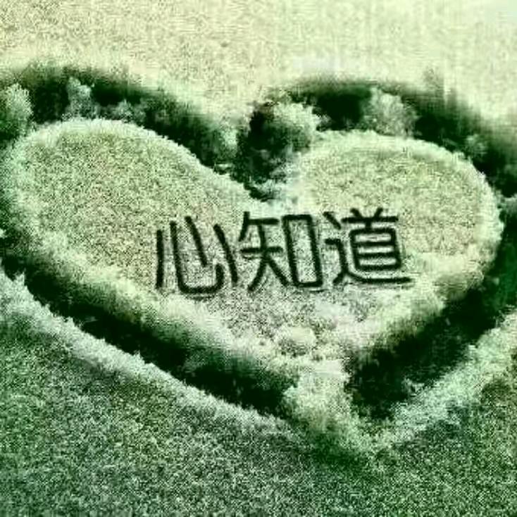 巷陌繁花