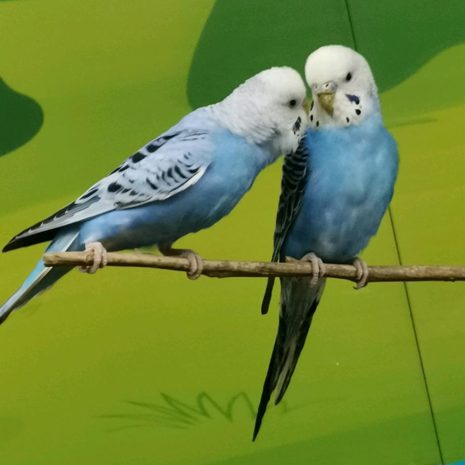 那一抹浅笑、隐藏忧伤