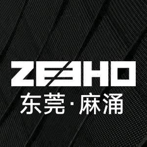 ZEEHO极核电动(东莞广麻大道店）