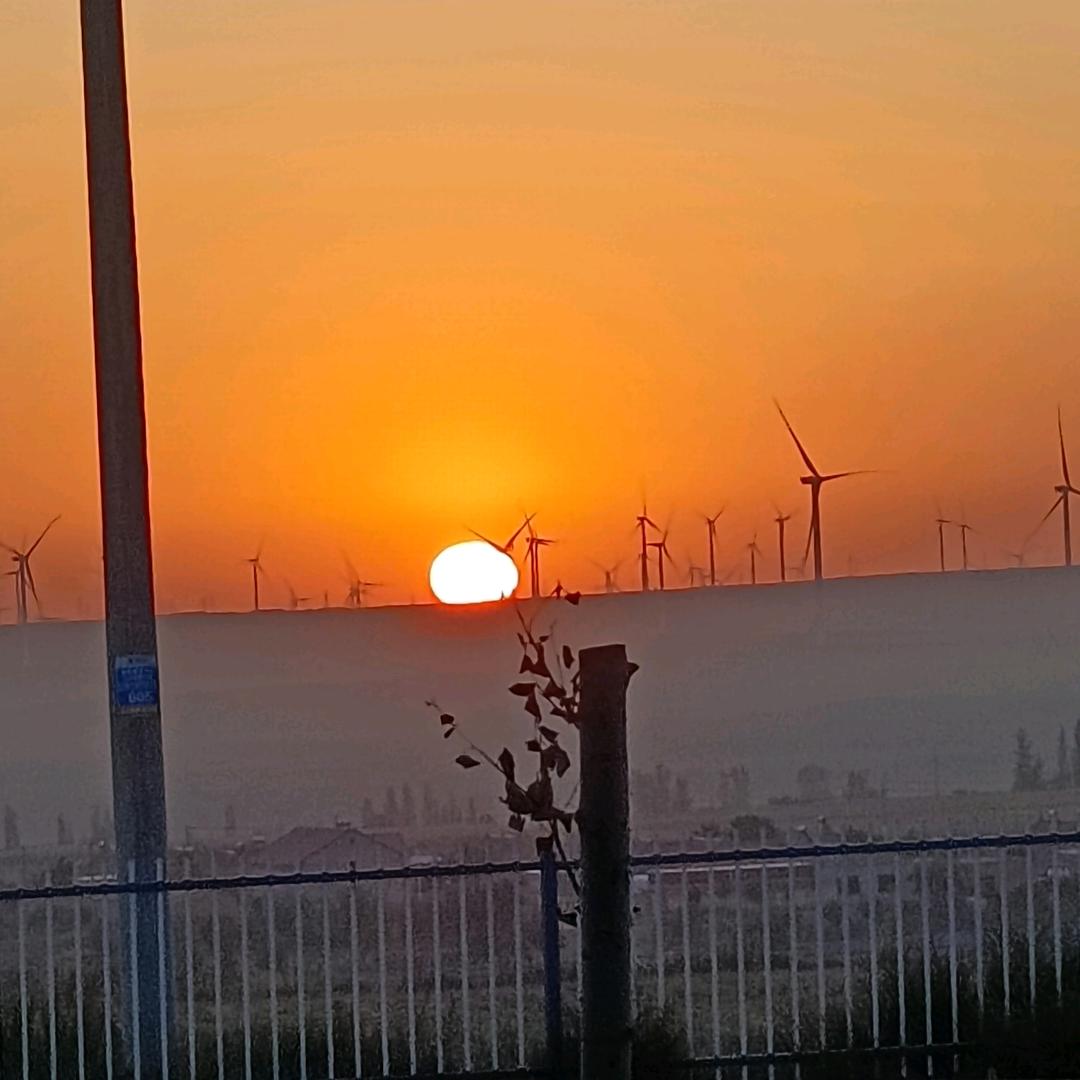 爱。。儿。。无憾