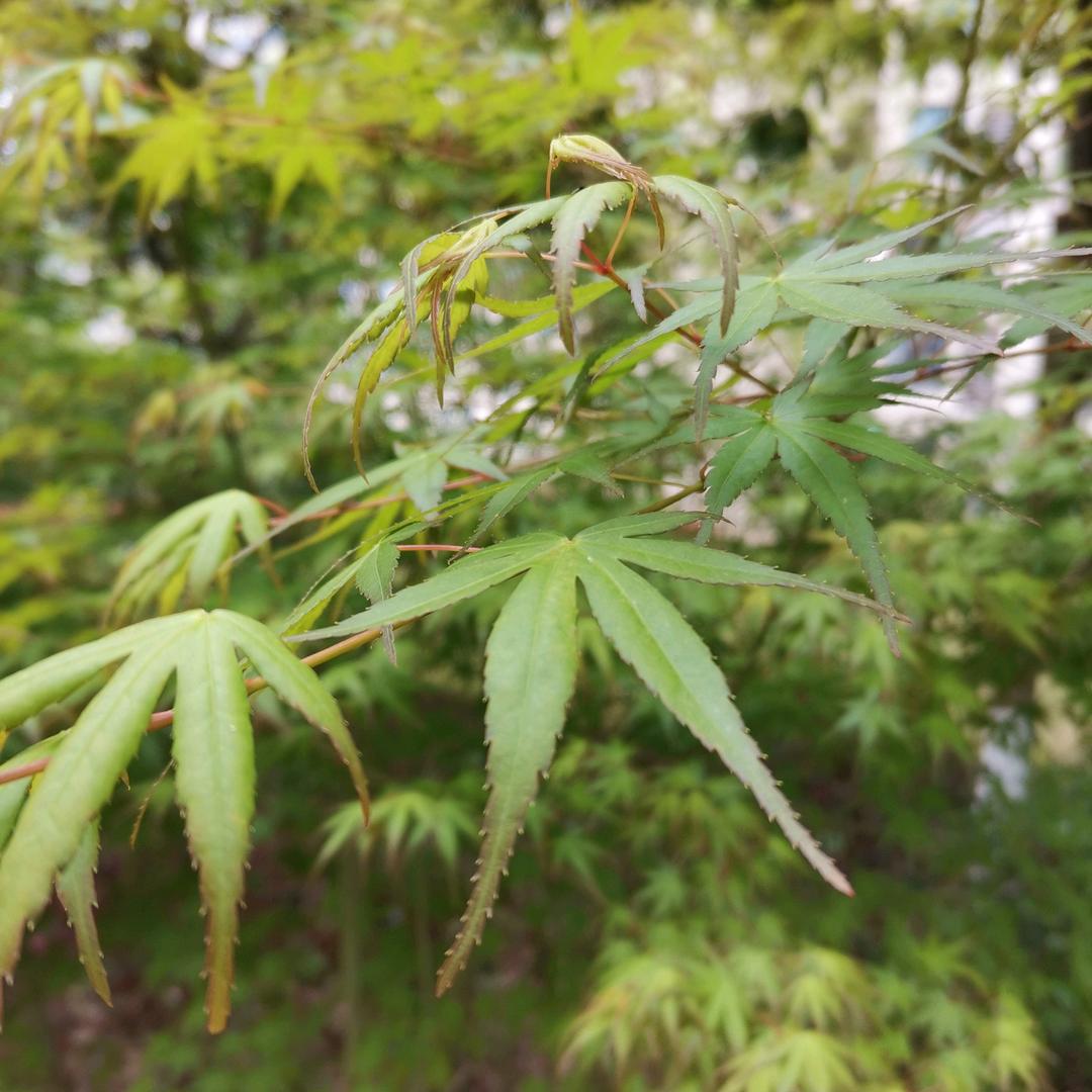 @不见不散@