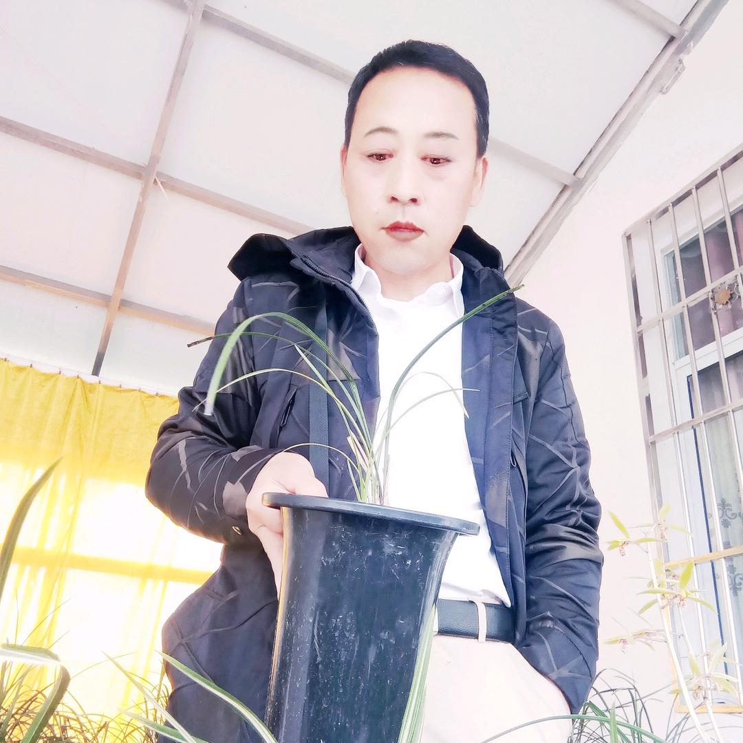 随南兰花🌺（厨窗好物）