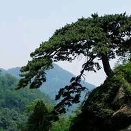 壹帆机械设备定制厂家