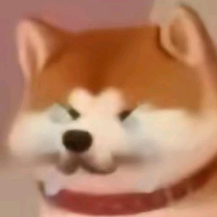 若若只想睡觉觉_(:ᗤ」ㄥ)_