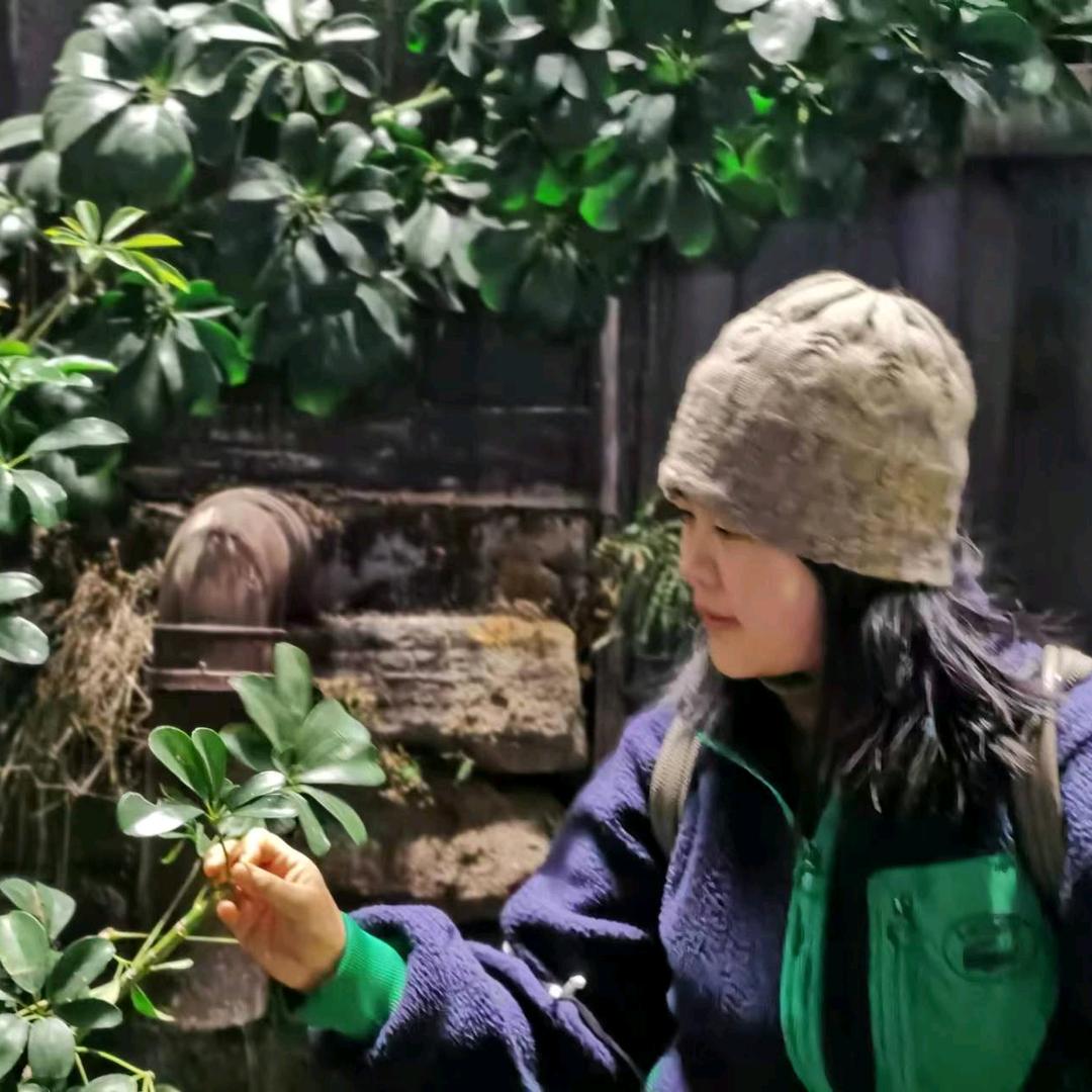 阳泉经济技术开发区七号鲜花店