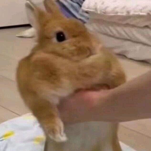 嘎哩糊糊啊