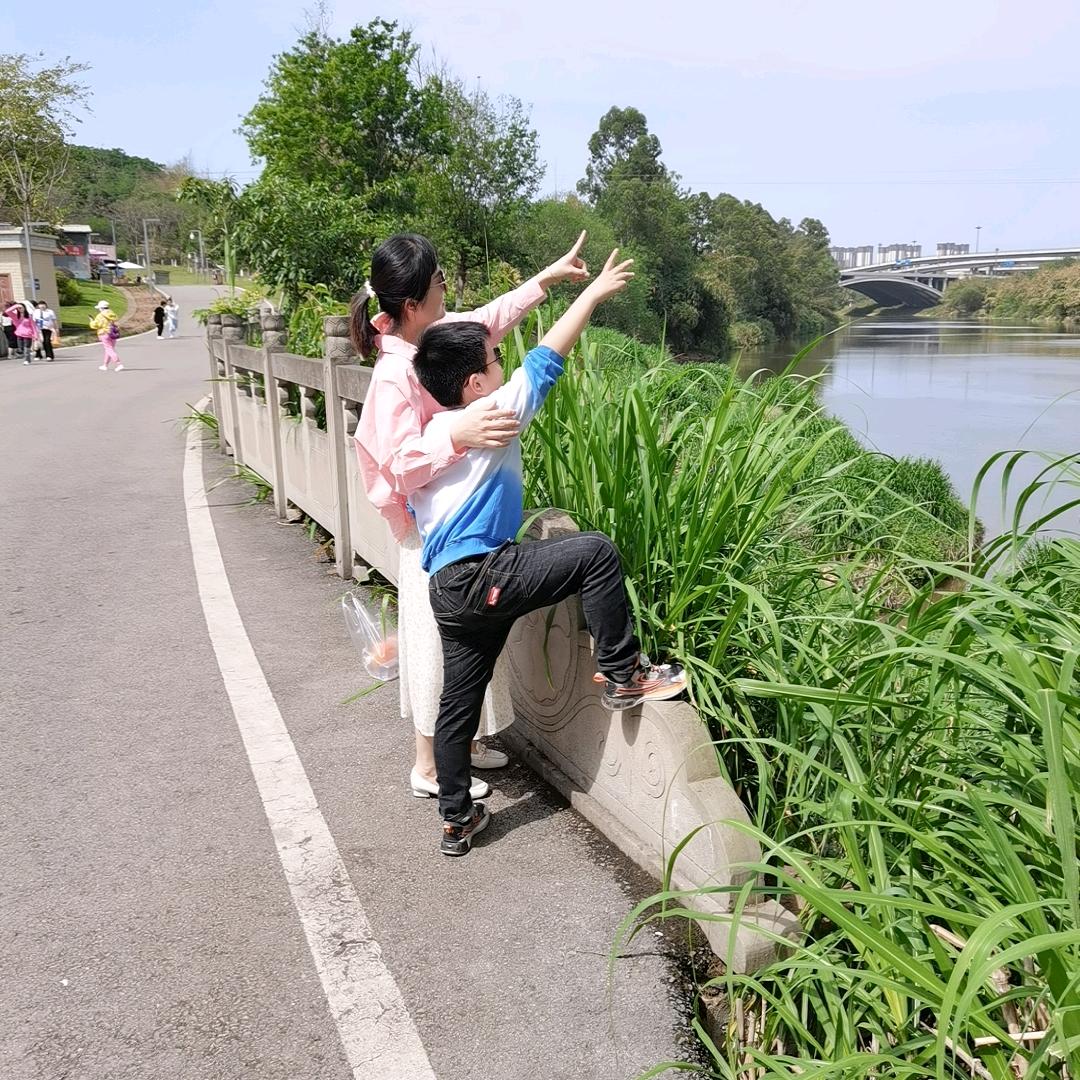 晓莉