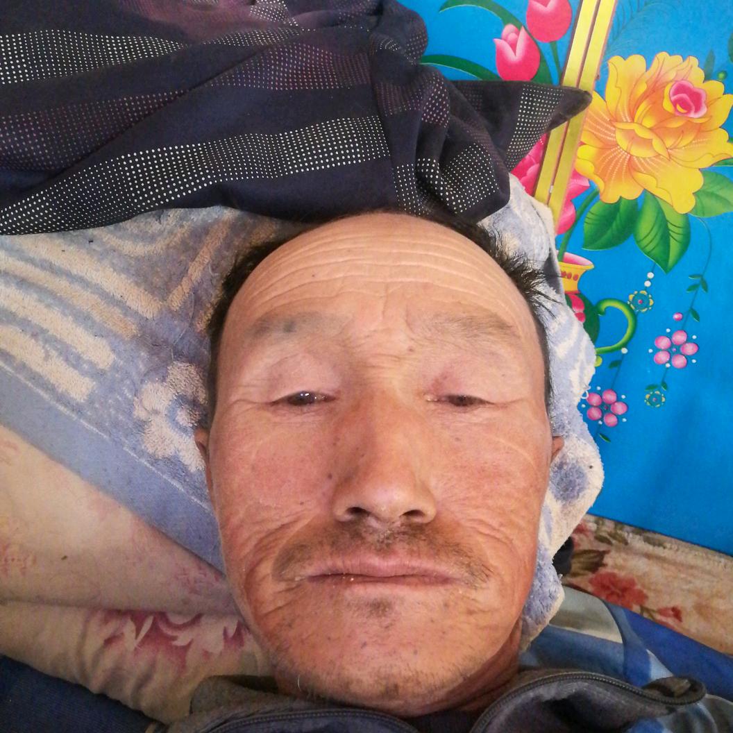 罗金元