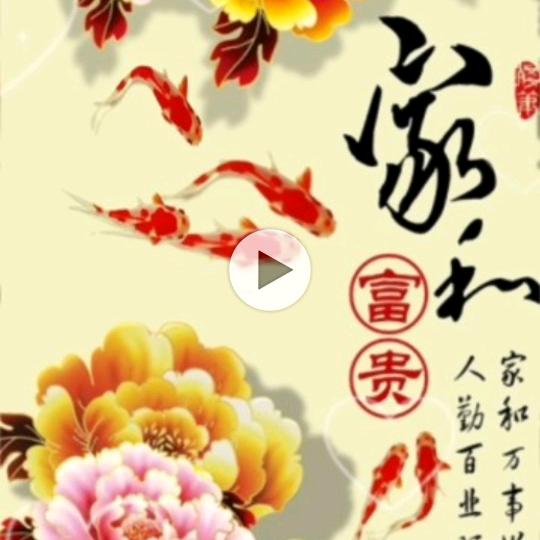 过好每一天