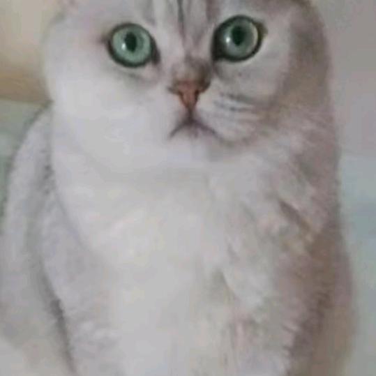 用户1165747138855一见倾心