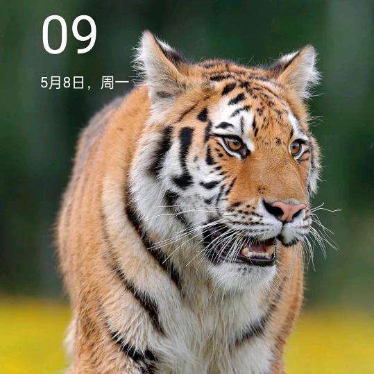 @物是人非@