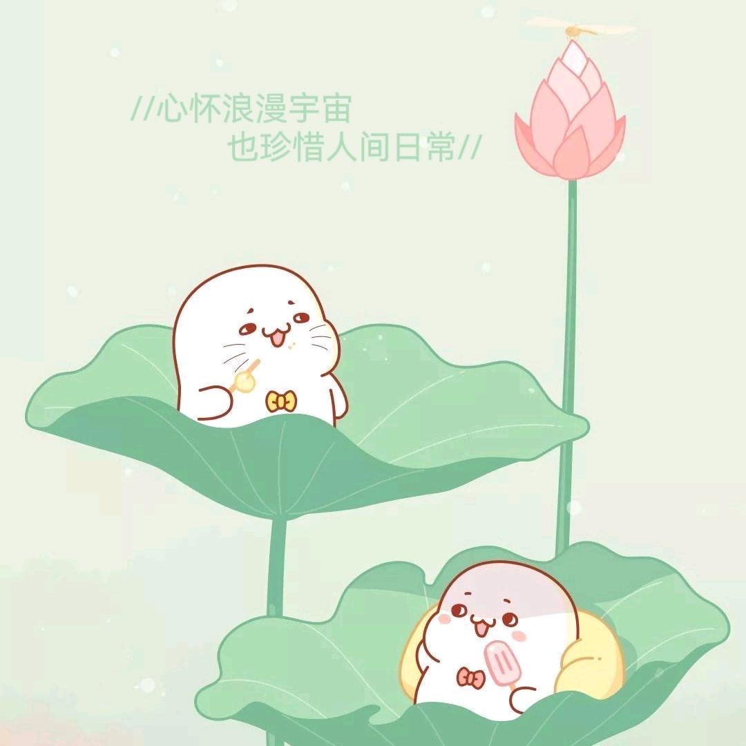 超可爱呀