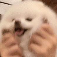 洛零