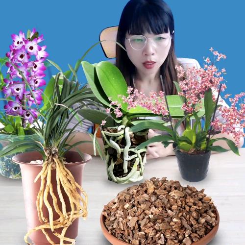 漳州集圆生物科技有限公司企业店