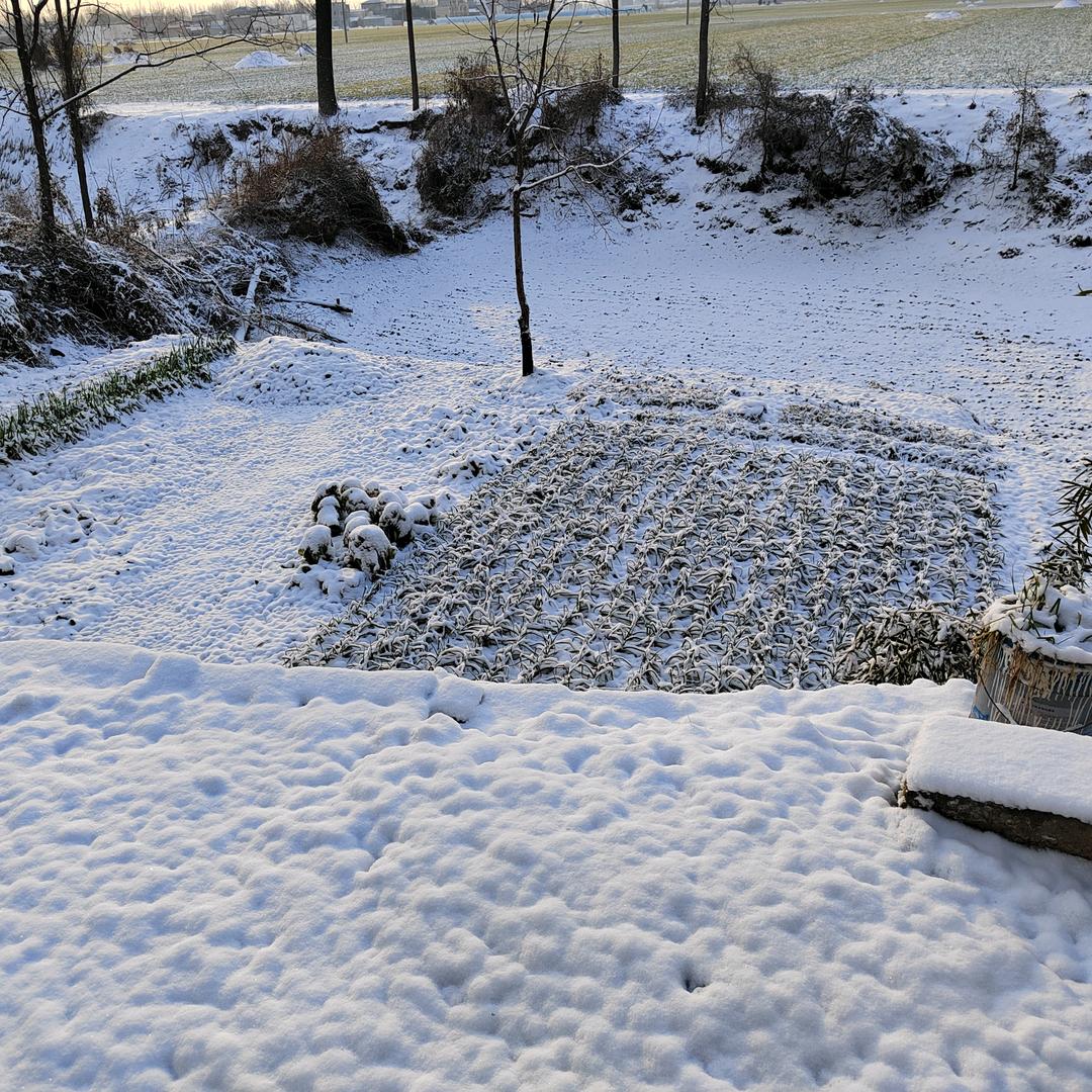 🌈🌈蓝莓酒🌈🌈
