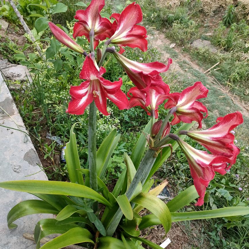 余生好好爱自己