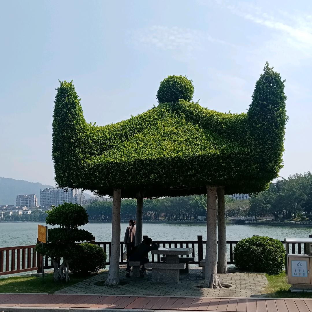 心语倾诉