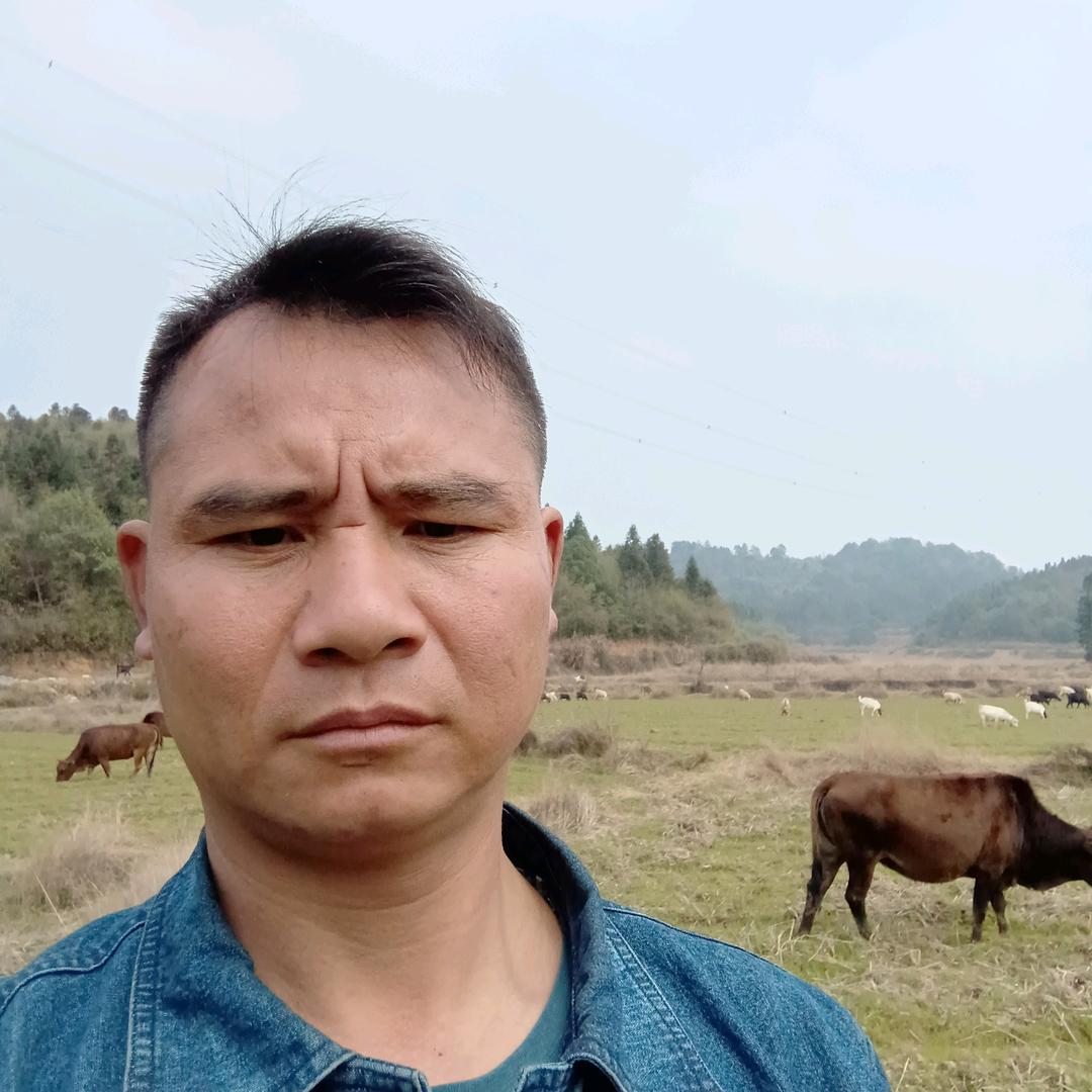 男人本色