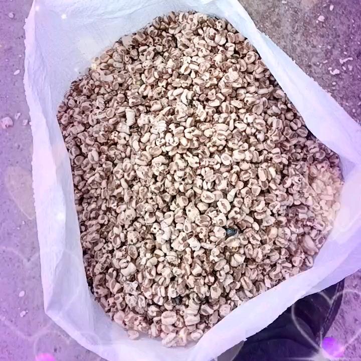 有缘千里来相会