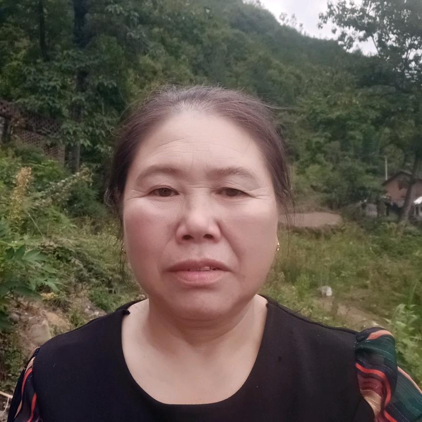 高山婆
