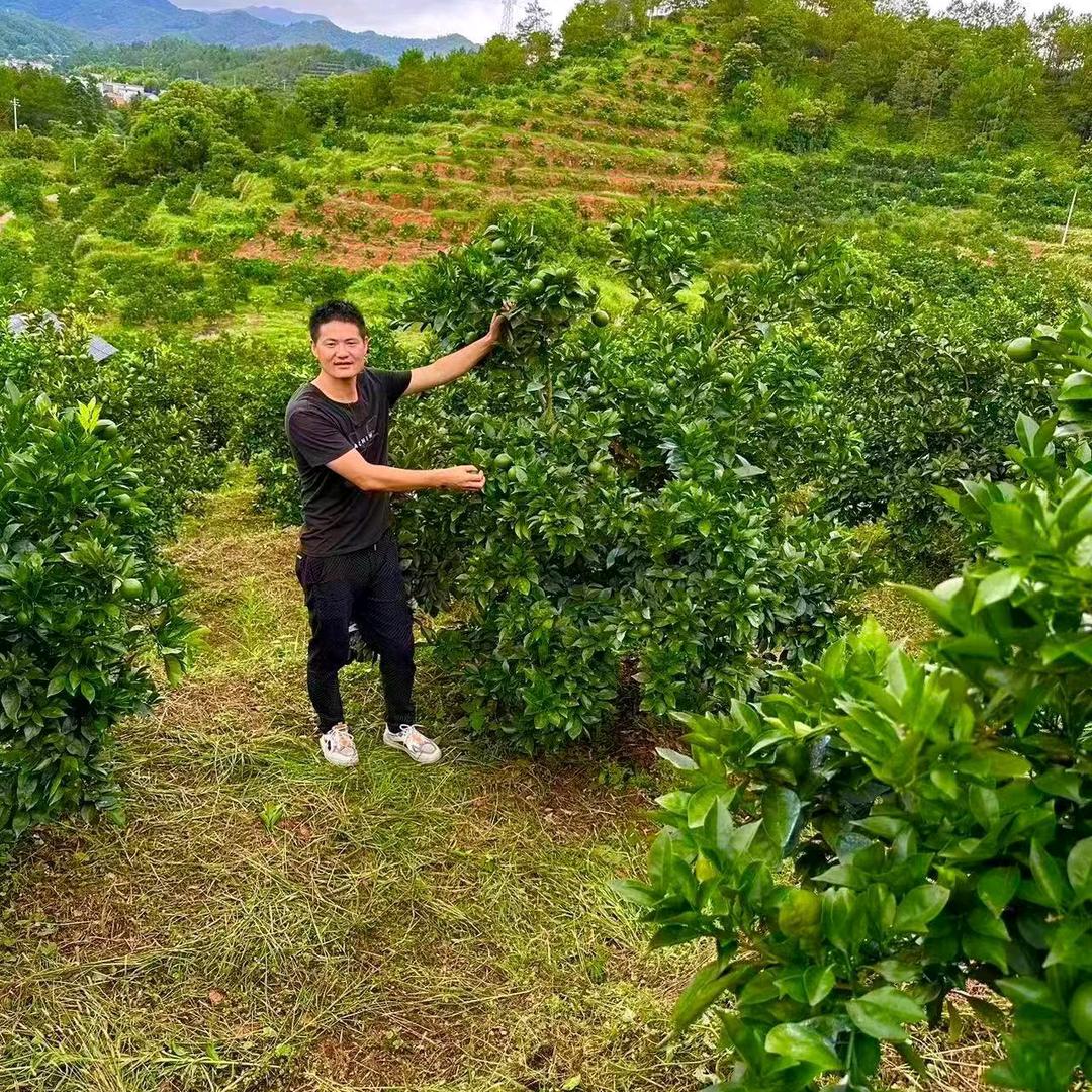 顶俏洗衣液工厂章贡区