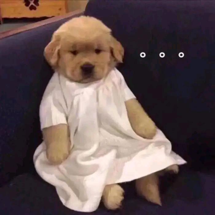 浇花壶的后花园