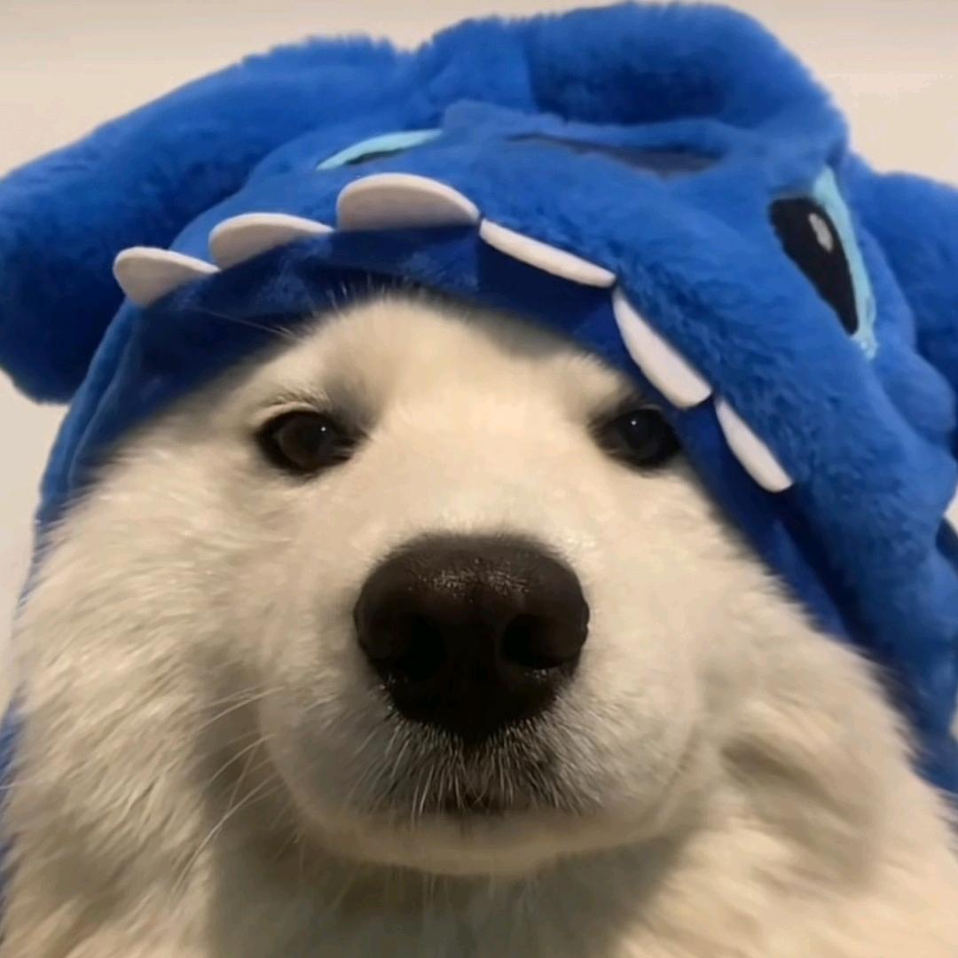 。。。