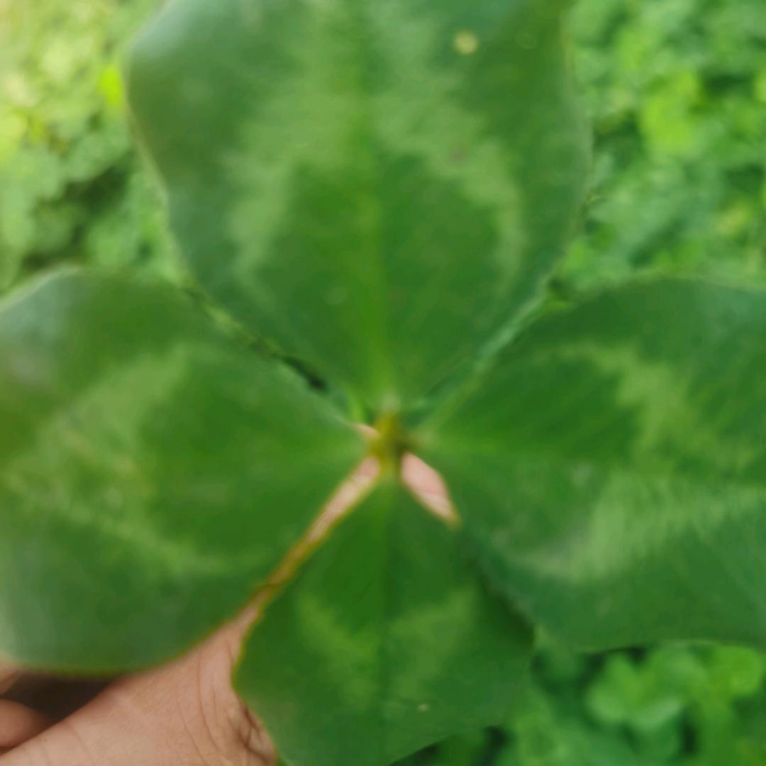 回忆沙漏