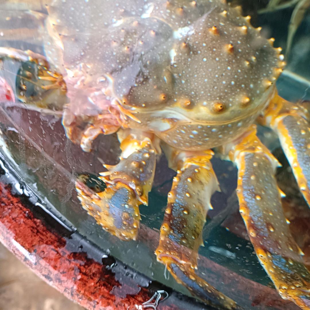 人生！谁！无醉！！🍺🍺😘