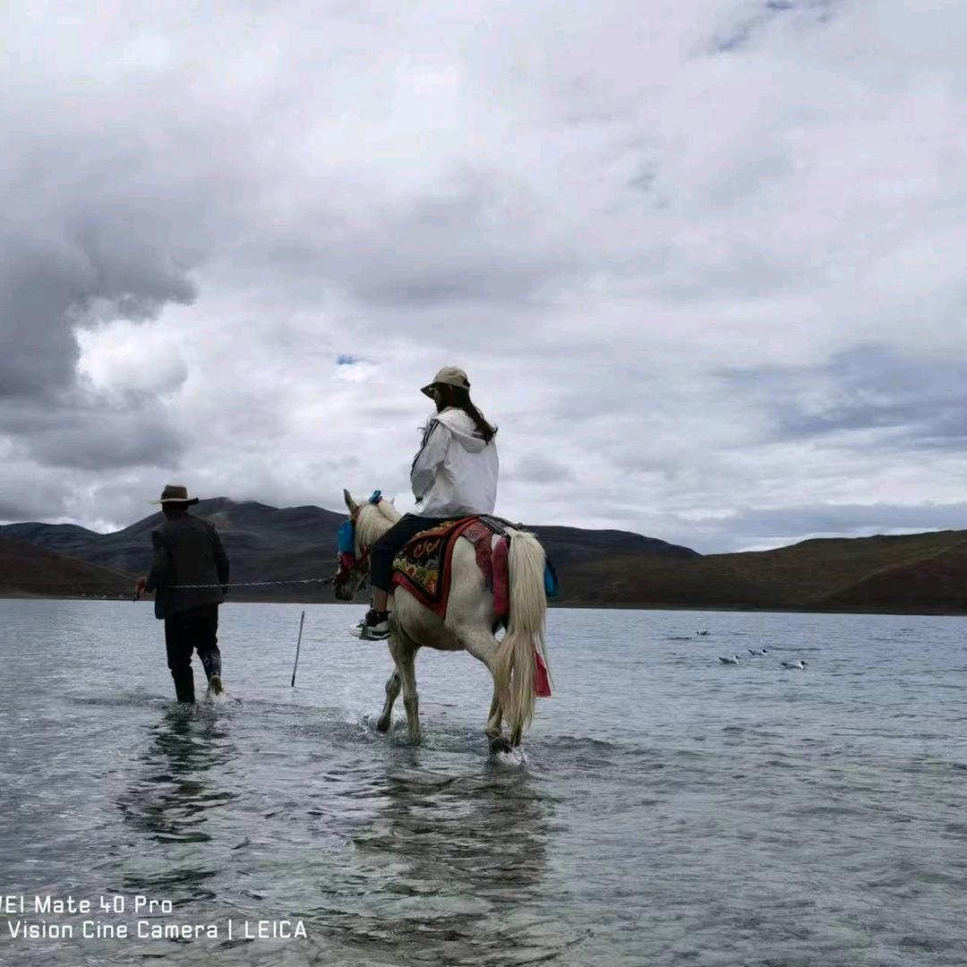 远东彩钢板厂（陈陈橙）