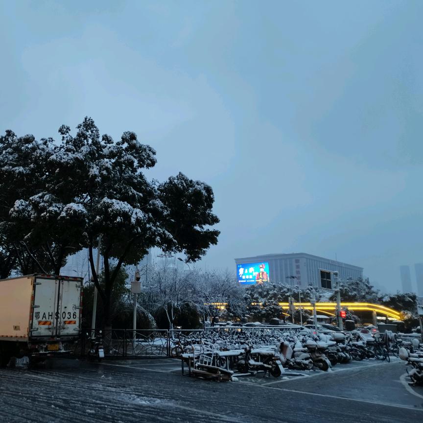 峰枫