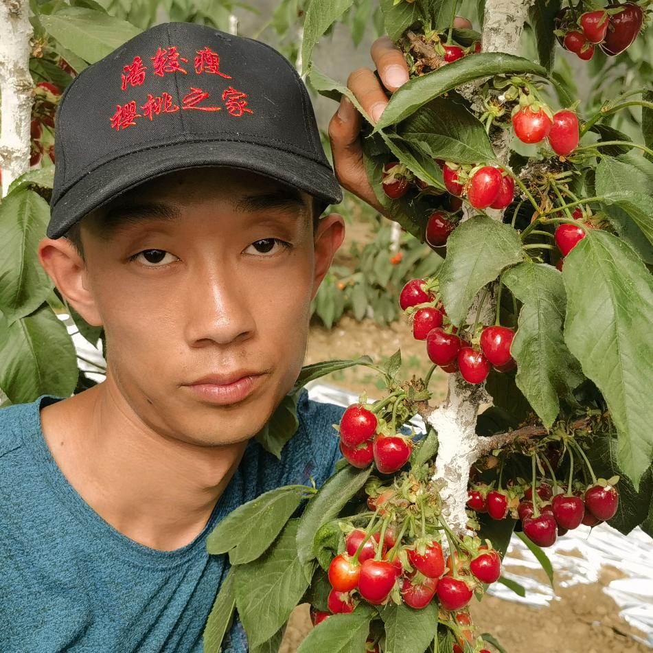 樱桃之家 潘较瘦