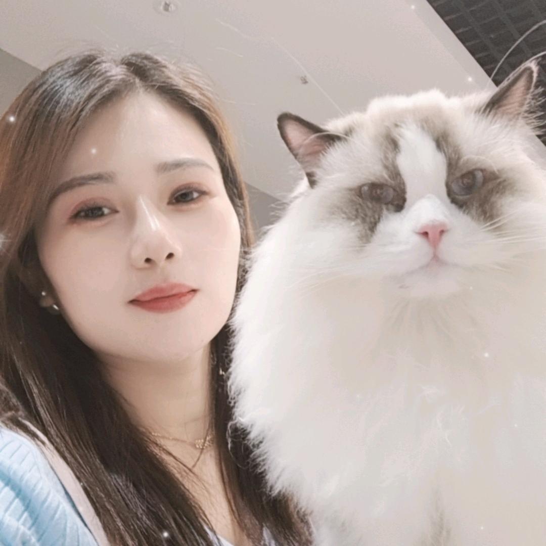吾悦   喵之妹猫咖