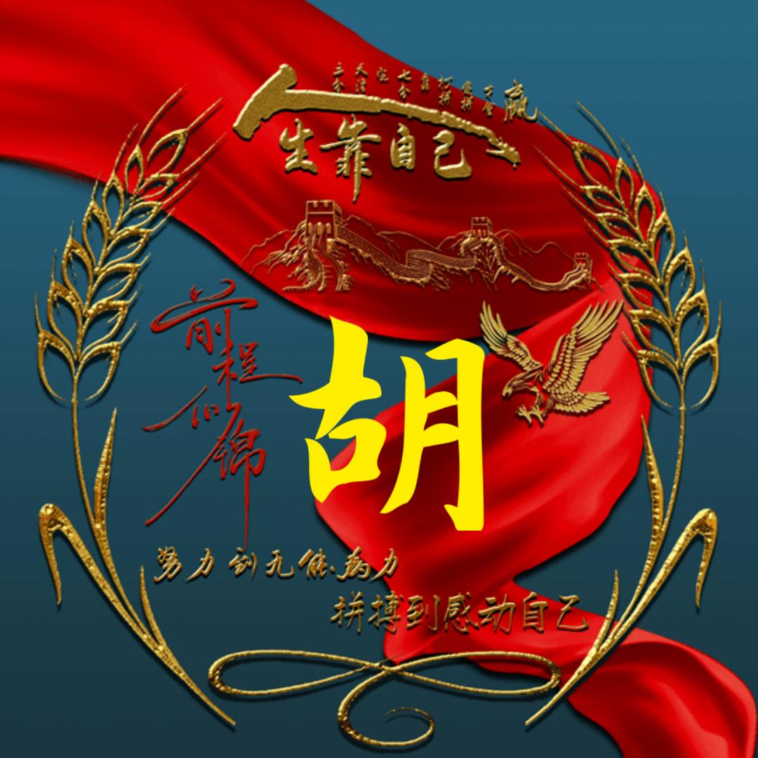 爱野钓的老胡
