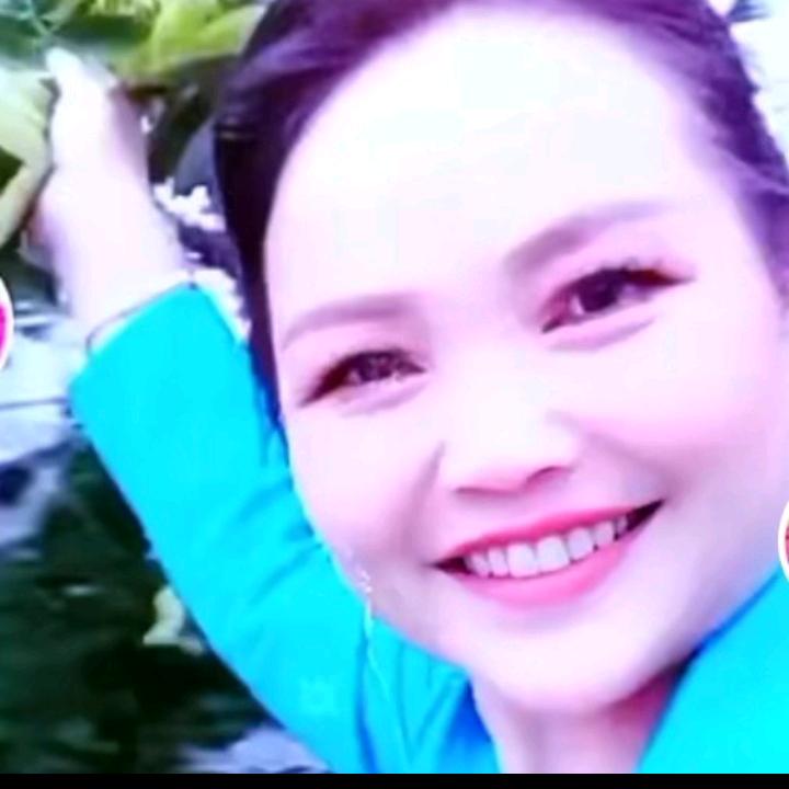 兰