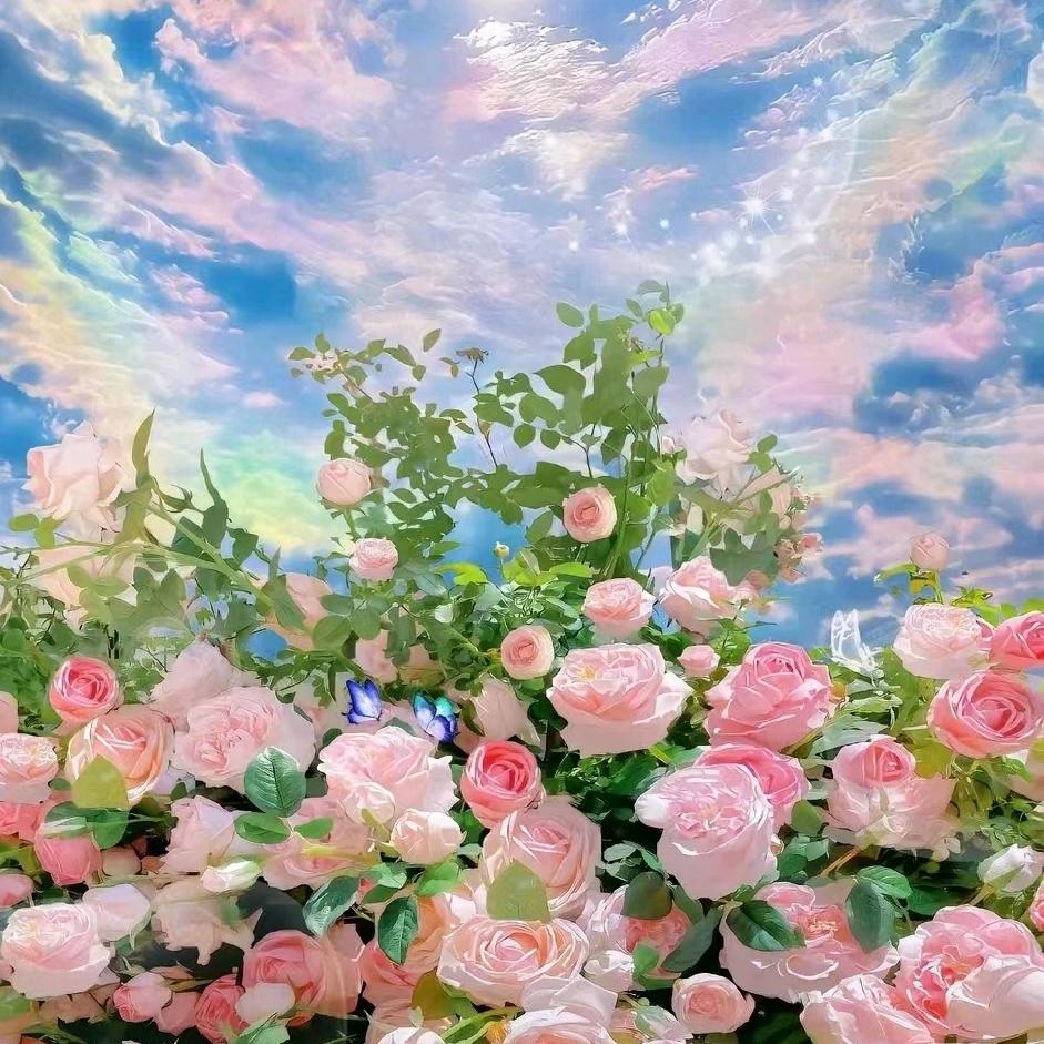 🌈暖暖的生活