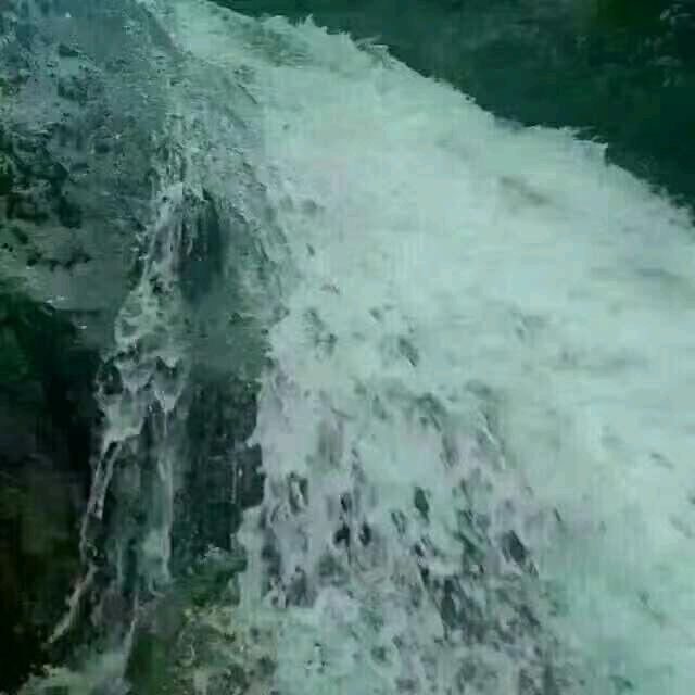 疯尹(断念)
