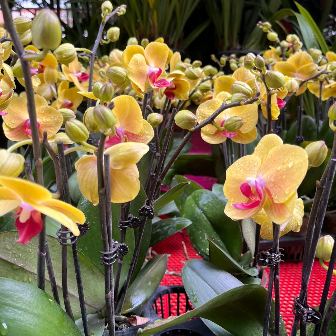 🎣🐟爱钓鱼小叔🎣🐟🎣