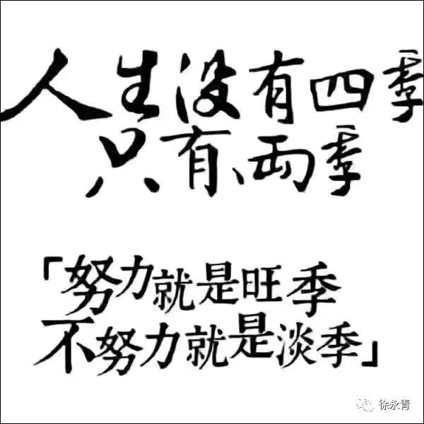夜归人5286
