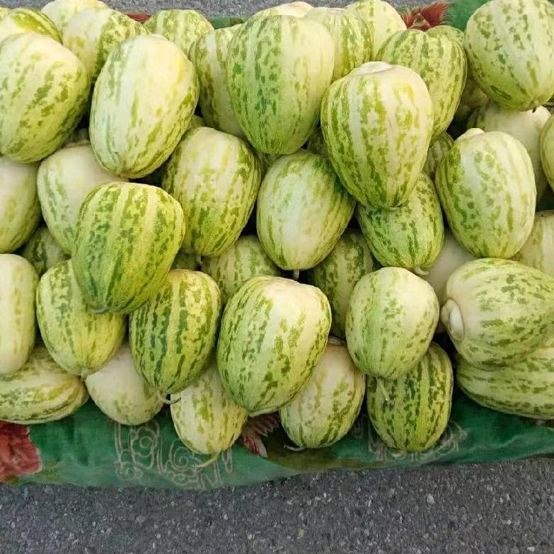 ！（｡ò ∀ ó｡）(づ ●─● )づ_