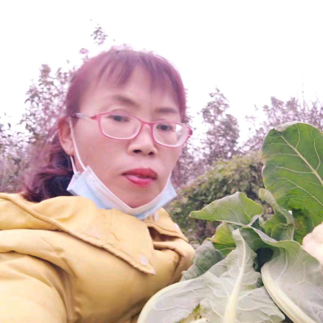 木冉姐牵线（沐娴姐）