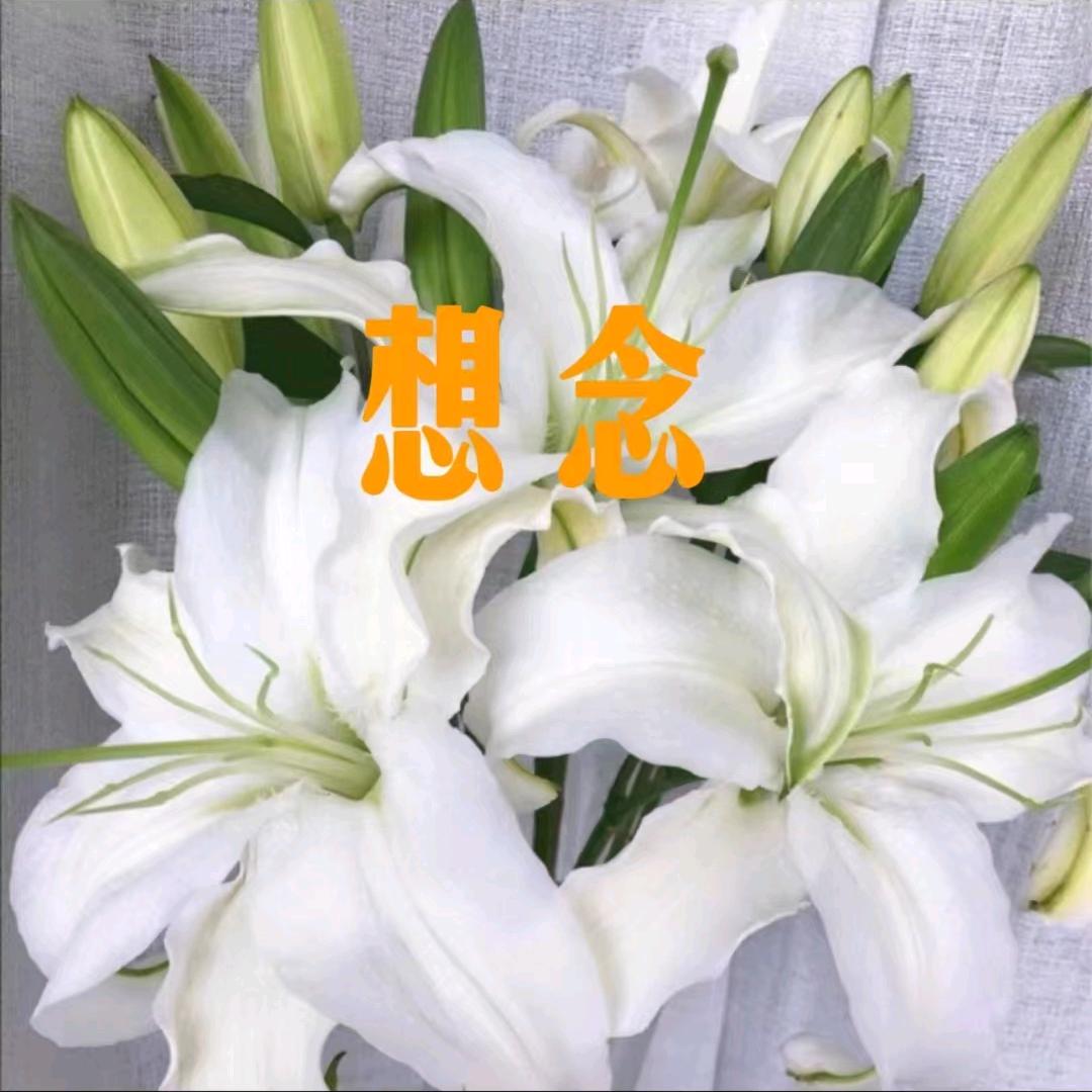 秀外慧中