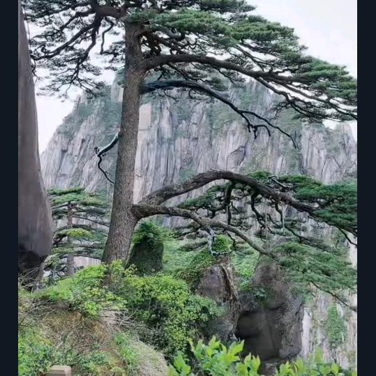 迊客松