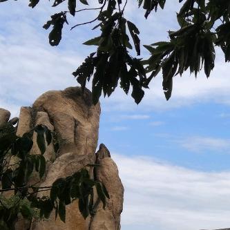 伟诚交通海信静静