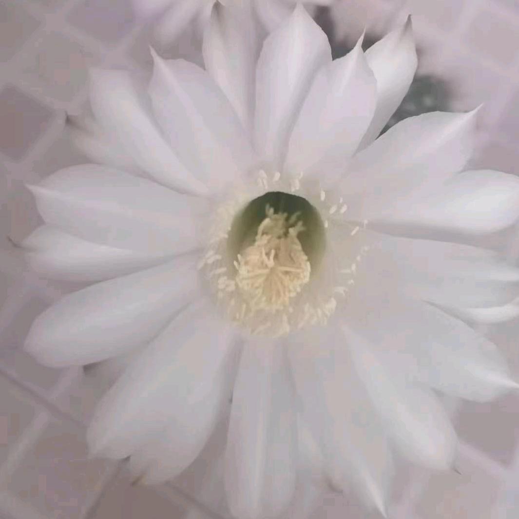 快乐成长快乐美一天